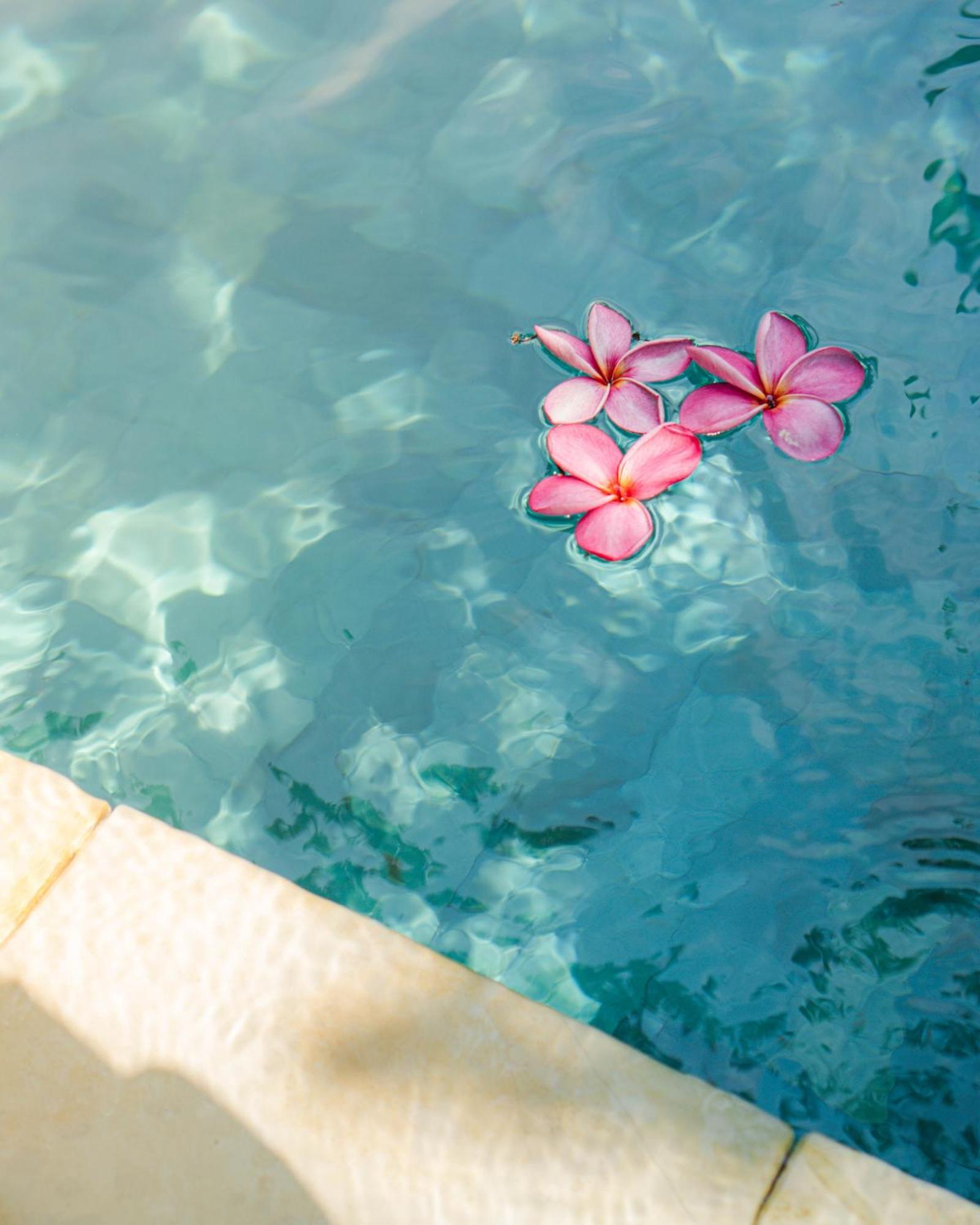 Hola Seminyak Otel Dış mekan fotoğraf